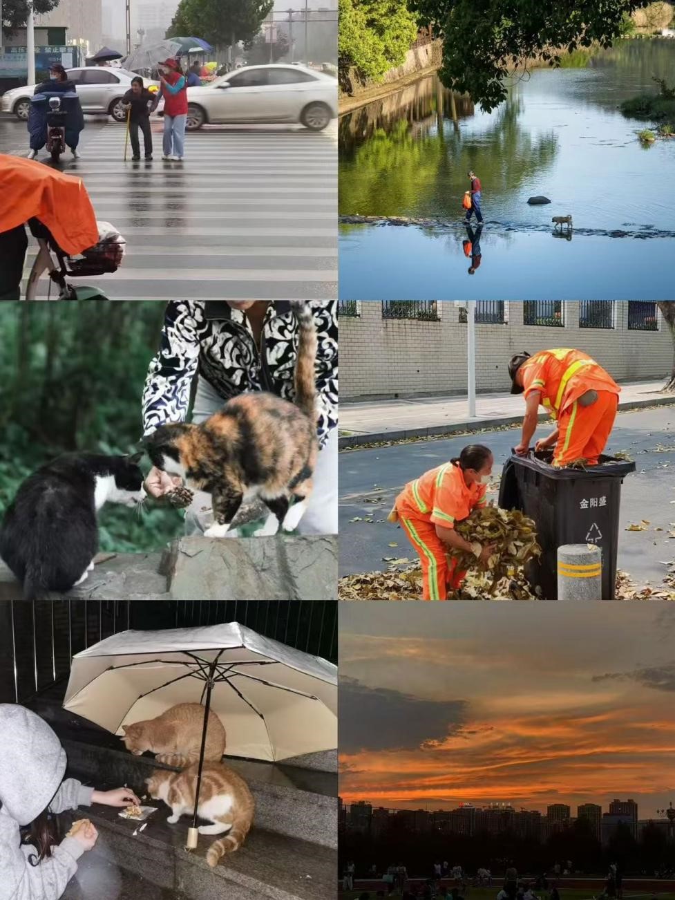 图片2.jpg 图片2.jpg